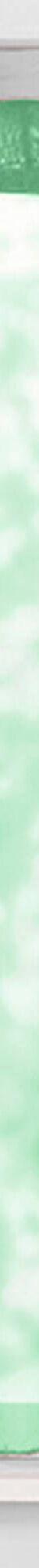 Vitrage droit voile uni finition pattes (vert) Vitrage droit voile uni finition pattes (vert)